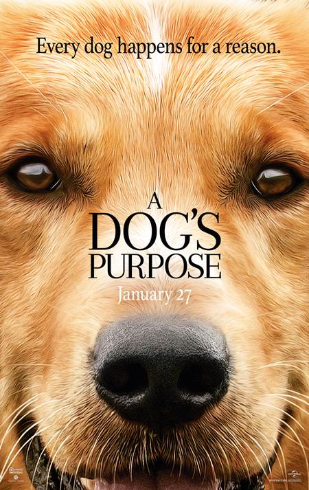 Can Dostum izle | A Dog’s Purpose 2017 Türkçe Dublaj izle