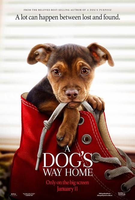 Sadık Dostum – A Dog’s Way Home 2019 Türkçe Altyazılı izle