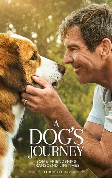 A Dog’s Journey 2019 Türkçe Dublaj Film izle