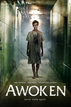 Awoken 2019 Filmi Full HD izle