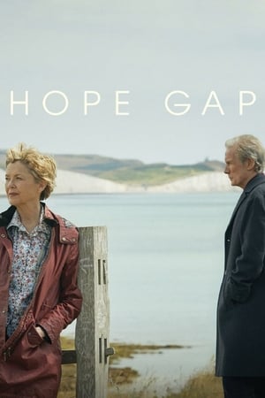 Umut Vadisi – Hope Gap 2019 Filmi Full HD izle