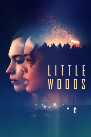 Küçük Orman izle – Little Woods 2019 Filmi izle