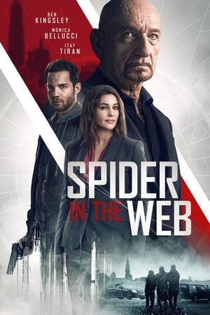 Ağdaki Örümcek – Spider in the Web 2019 Filmi Full HD izle