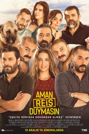 Aman Reis Duymasın 2019 Yerli Filmi izle