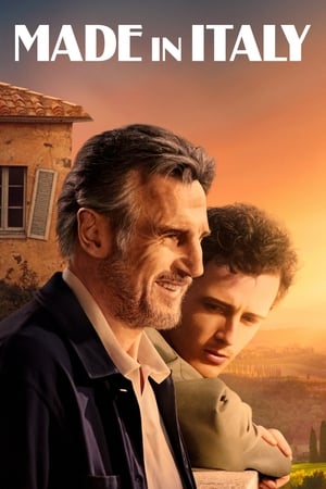 İtalyan Yazı – Made in Italy 2020 Filmi izle