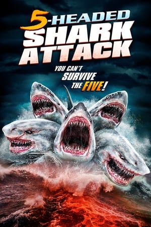 5 Başlı Köpekbalığı – 5 Headed Shark Attack 2017 Filmi izle