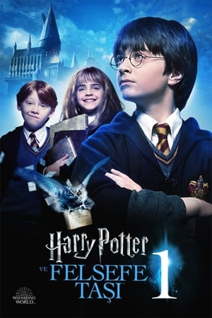 Harry Potter ve Felsefe Taşı 2001 Filmi izle