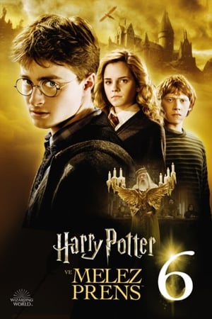 Harry Potter ve Melez Prens 2009 Filmi izle