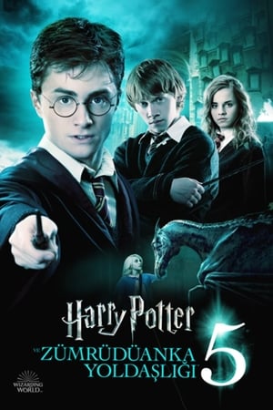 Harry Potter ve Zümrüdüanka Yoldaşlığı 2007 Filmi izle