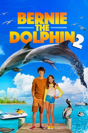 Yunus Bernie 2 – Bernie the Dolphin 2 (2019) Filmi izle