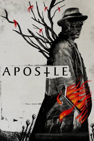 Havari – Apostle 2018 Filmi izle