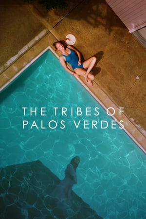 The Tribes of Palos Verdes 2017 Filmi izle