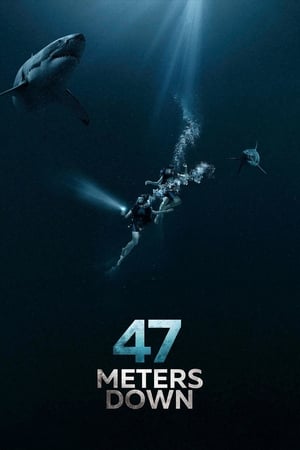 Denizde Dehşet – 47 Meters Down 2017 Filmi izle