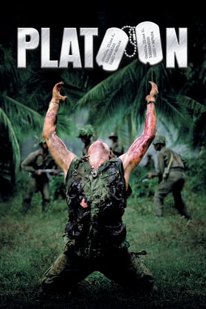 Müfreze – Platoon 1986 Filmi izle