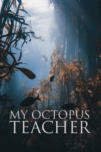 Ahtapottan Öğrendiklerim izle – My Octopus Teacher (2020)